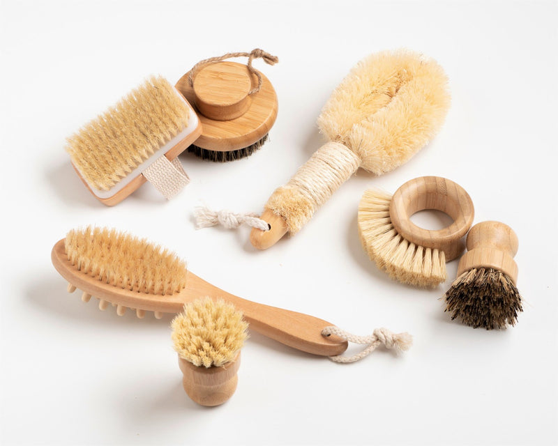 Detox Dry Body Brush, Eco Friendly Self Care Dry Skin Brushing, Vegan Dry  Body Brush for Cellulite, Good Health 